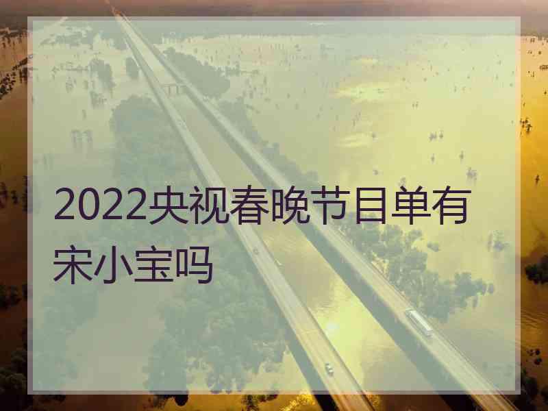 2022央视春晚节目单有宋小宝吗