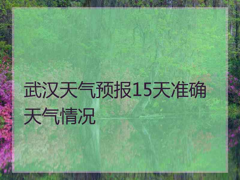 武汉天气预报15天准确天气情况