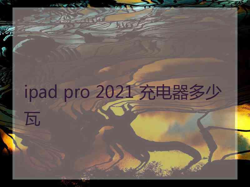 ipad pro 2021 充电器多少瓦