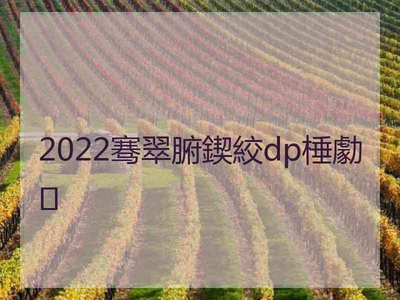 2022骞翠腑鍥絞dp棰勮