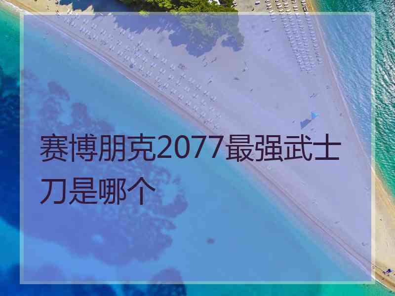 赛博朋克2077最强武士刀是哪个