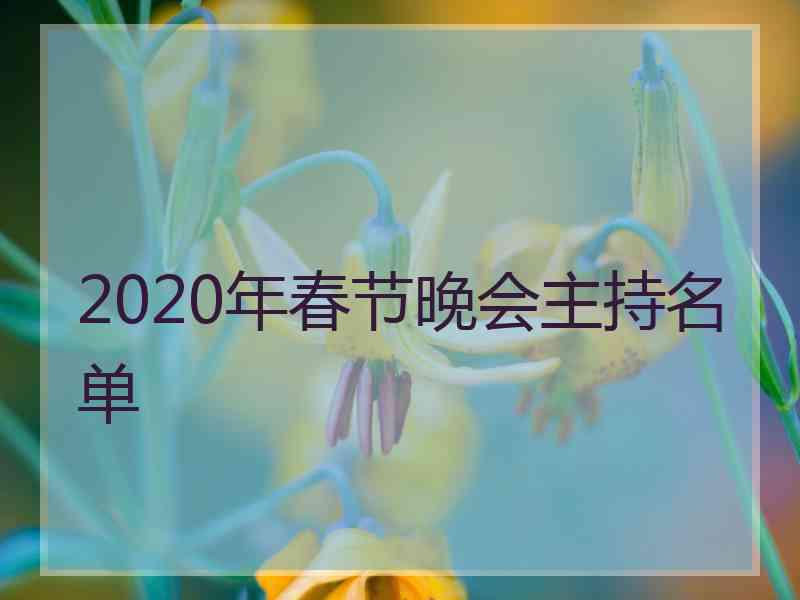 2020年春节晚会主持名单