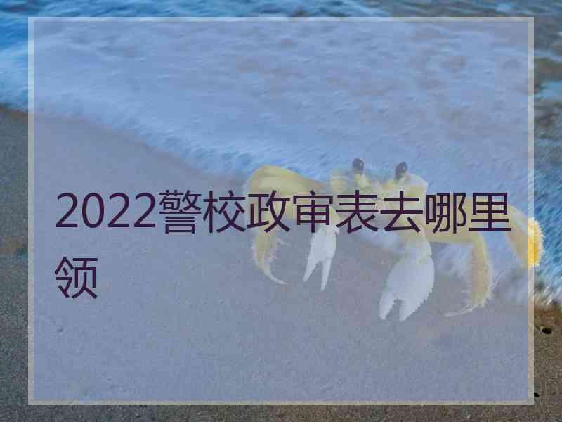 2022警校政审表去哪里领