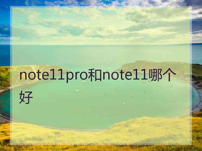 note11pro和note11哪个好