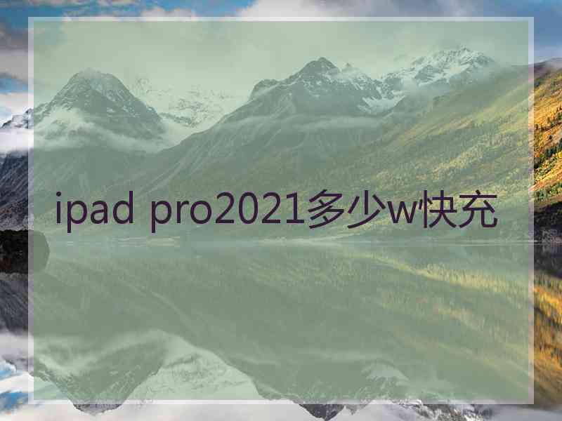 ipad pro2021多少w快充