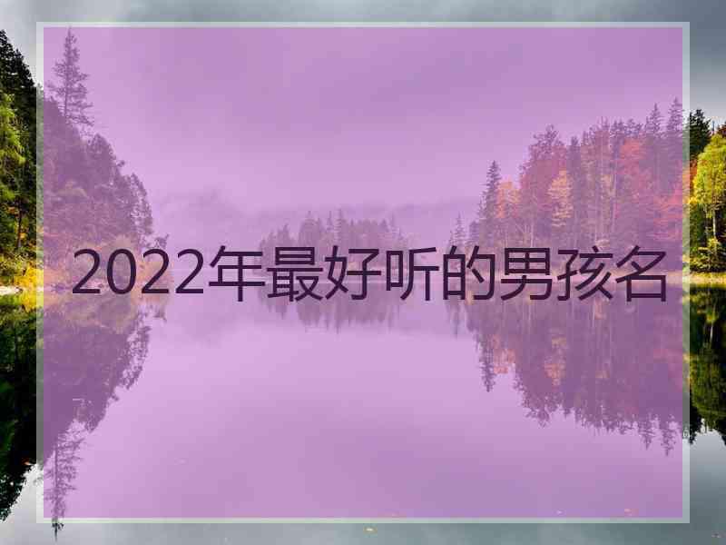 2022年最好听的男孩名