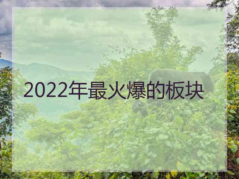 2022年最火爆的板块