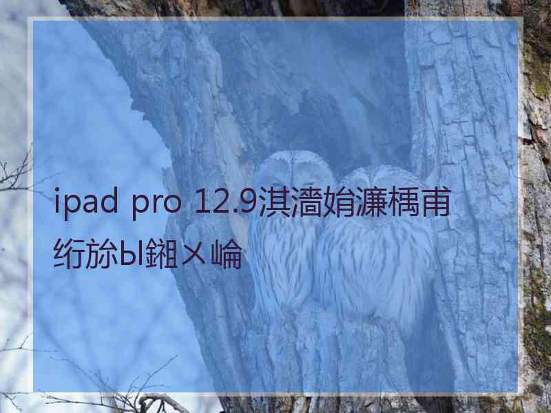 ipad pro 12.9淇濇姢濂楀甫绗旀Ы鎺ㄨ崘