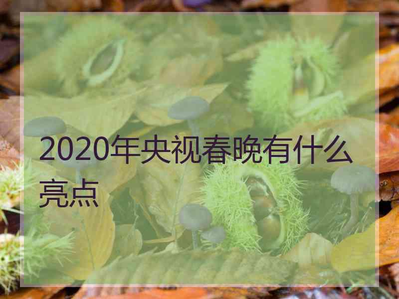 2020年央视春晚有什么亮点