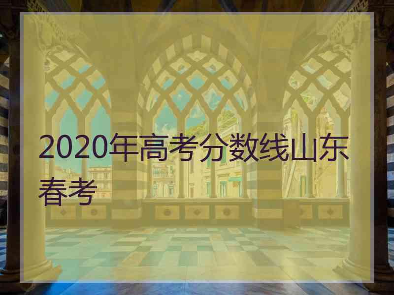 2020年高考分数线山东春考