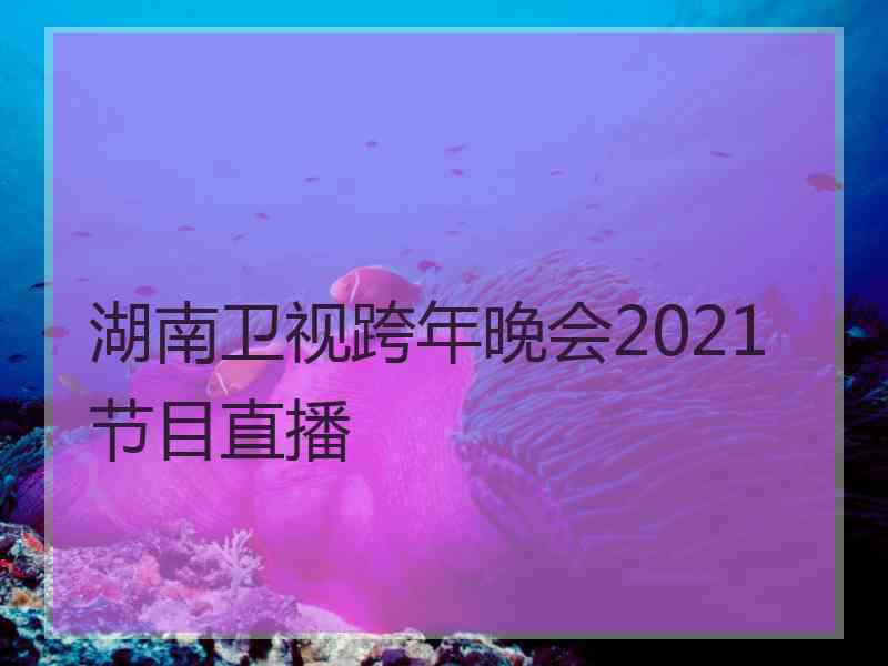 湖南卫视跨年晚会2021节目直播