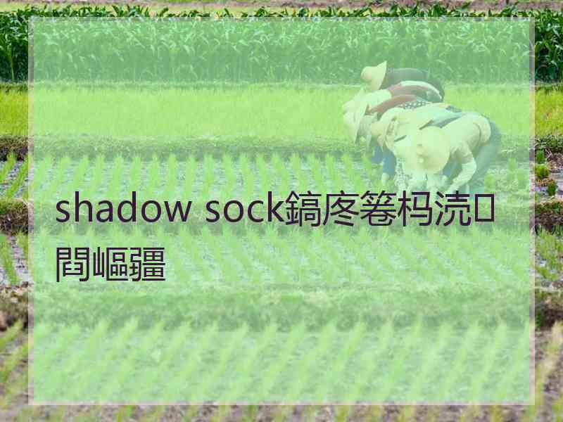 shadow sock鎬庝箞杩涜閰嶇疆