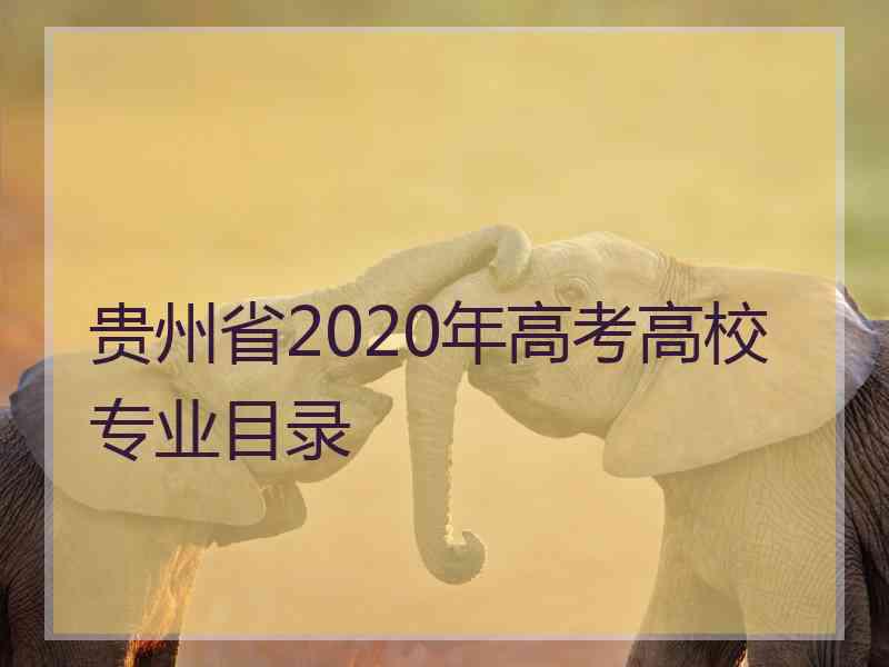 贵州省2020年高考高校专业目录