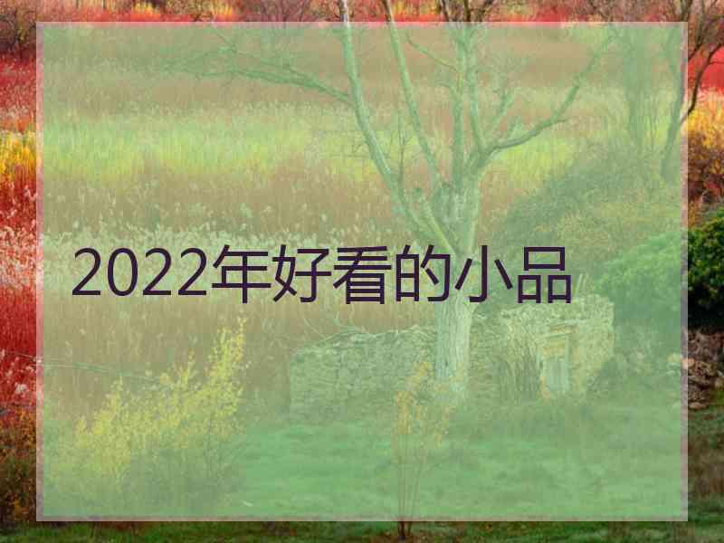 2022年好看的小品