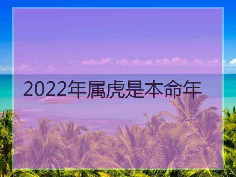 2022年属虎是本命年