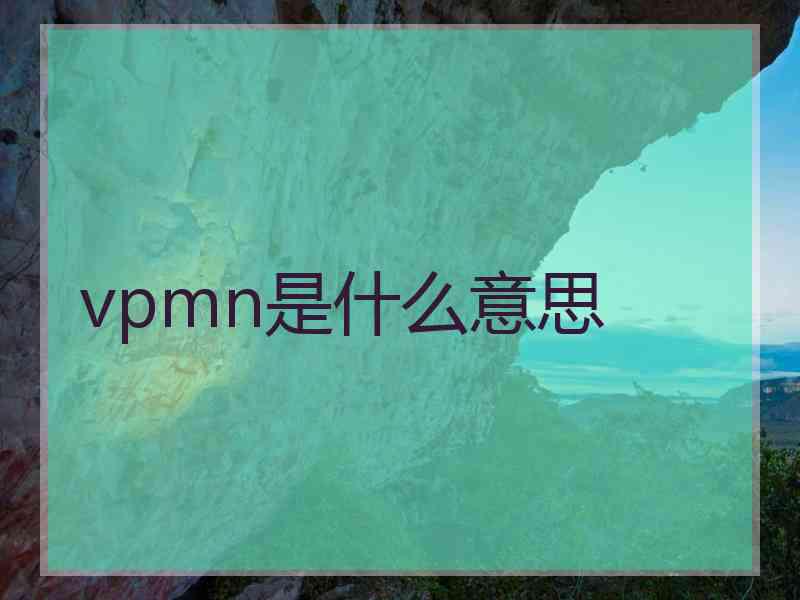 vpmn是什么意思