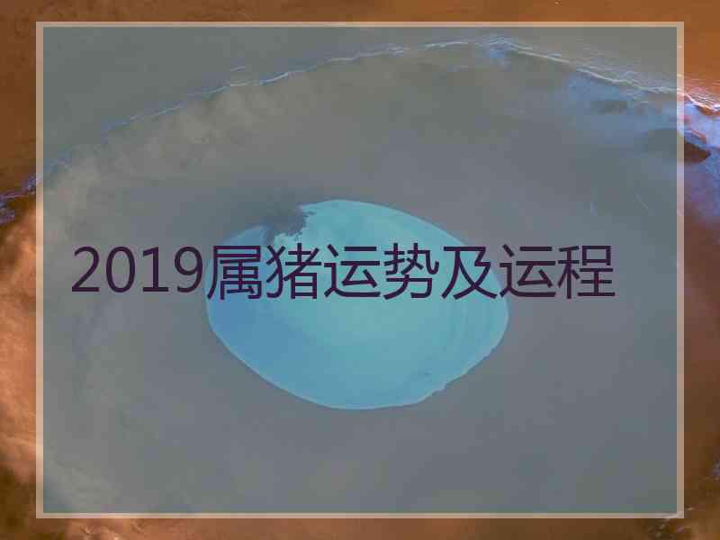 2019属猪运势及运程