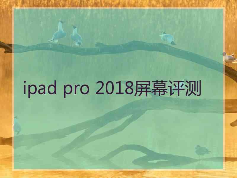 ipad pro 2018屏幕评测