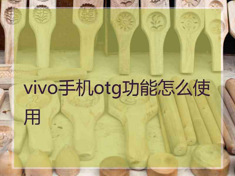 vivo手机otg功能怎么使用