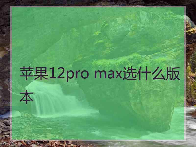 苹果12pro max选什么版本