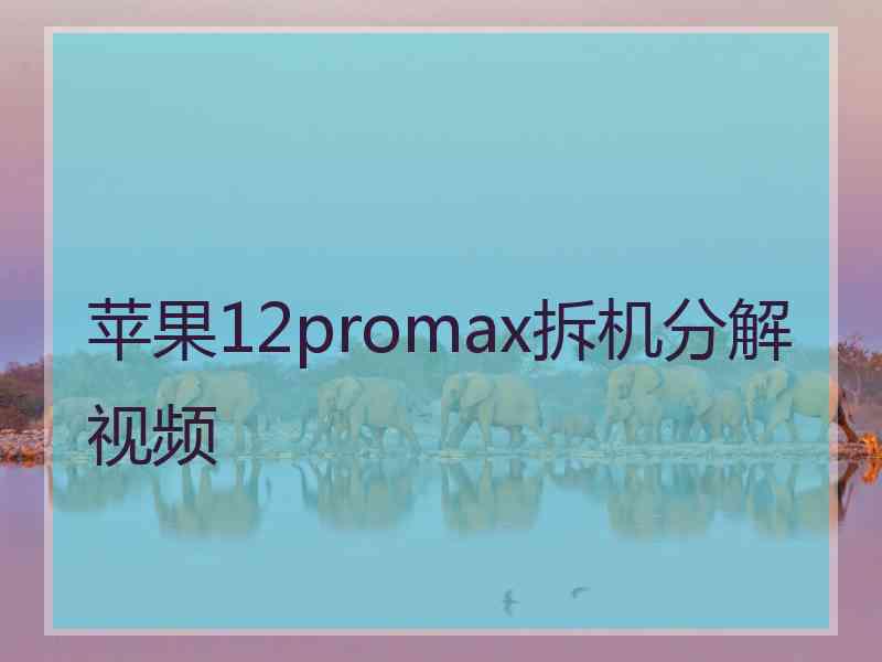 苹果12promax拆机分解视频