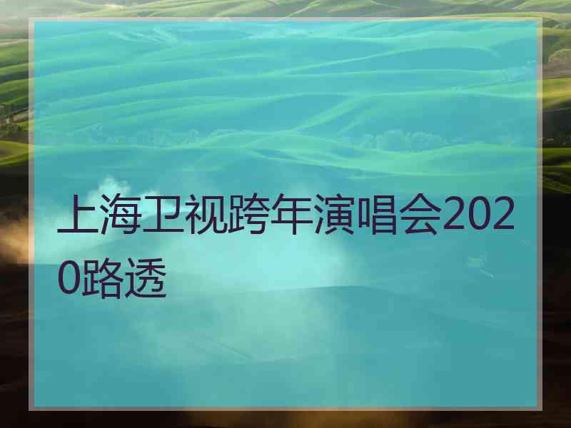 上海卫视跨年演唱会2020路透