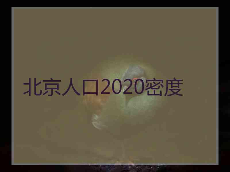 北京人口2020密度