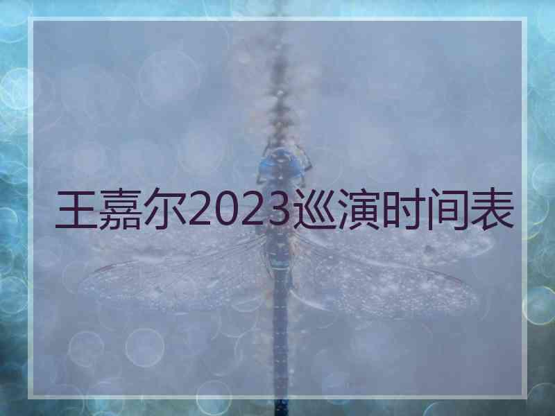 王嘉尔2023巡演时间表