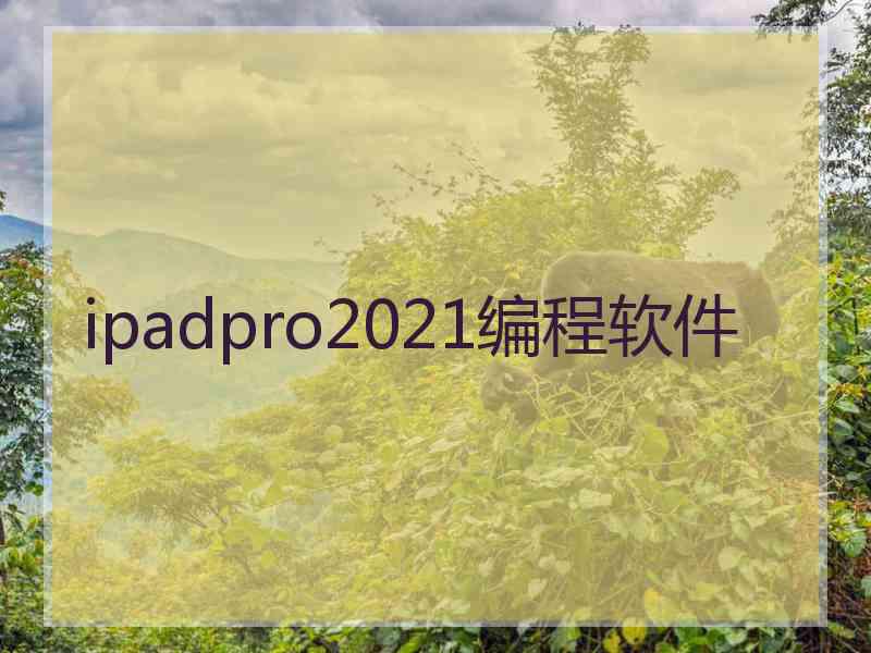 ipadpro2021编程软件