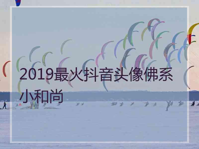 2019最火抖音头像佛系小和尚