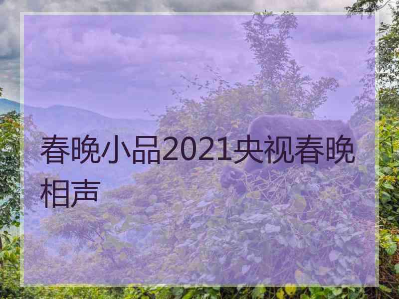 春晚小品2021央视春晚相声