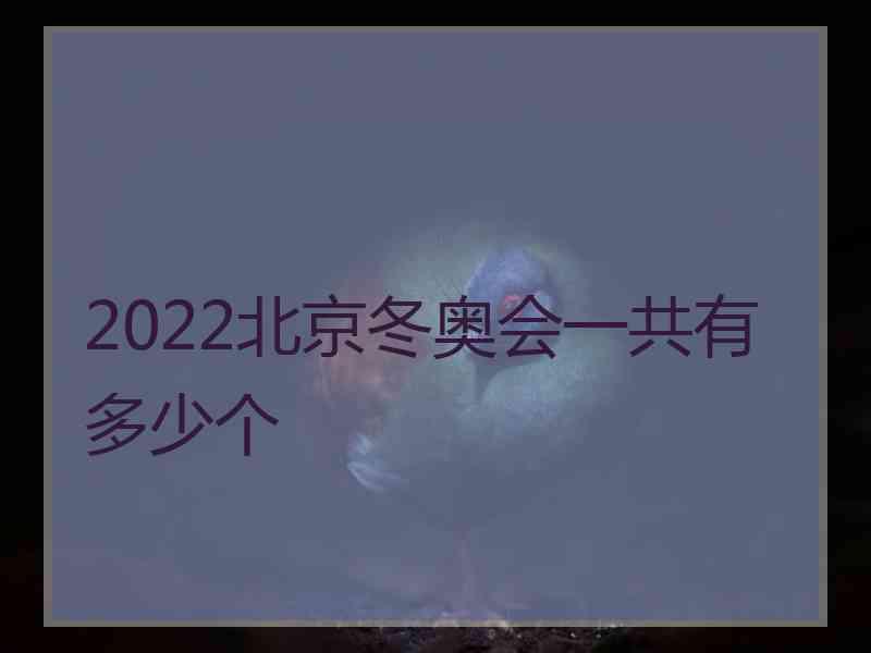 2022北京冬奥会一共有多少个