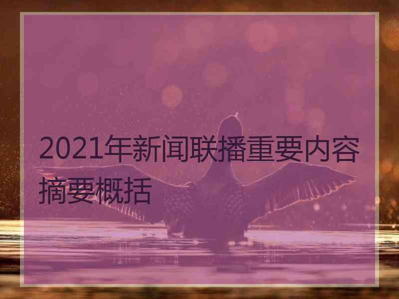 2021年新闻联播重要内容摘要概括