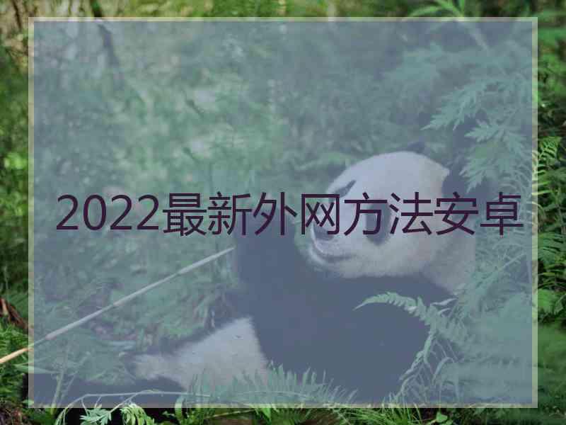 2022最新外网方法安卓