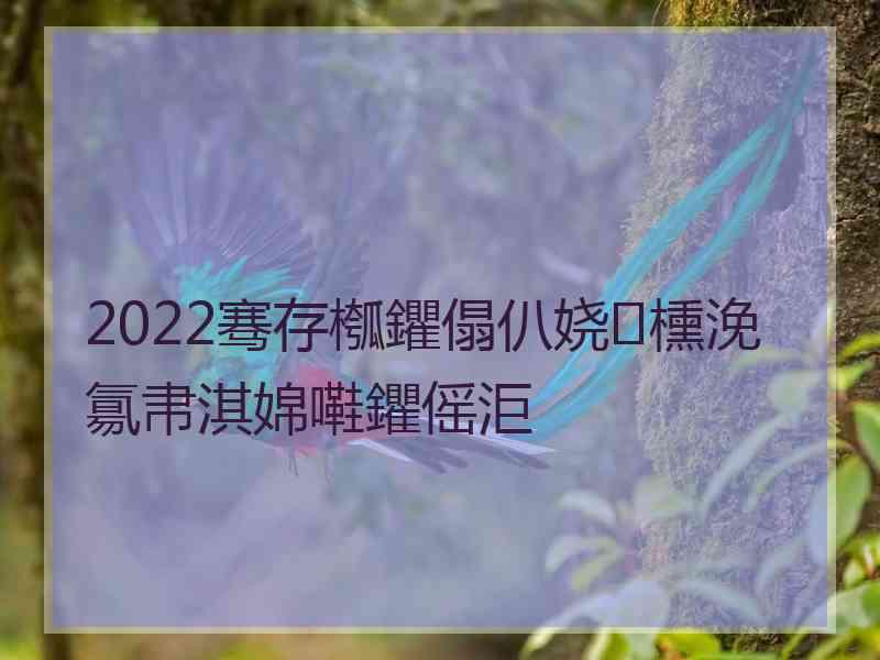 2022骞存槬鑺傝仈娆㈡櫄浼氱帇淇婂嚡鑺傜洰