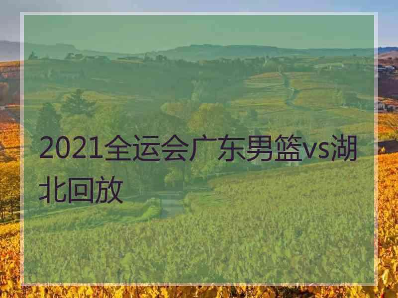 2021全运会广东男篮vs湖北回放