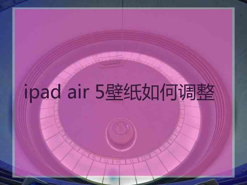 ipad air 5壁纸如何调整