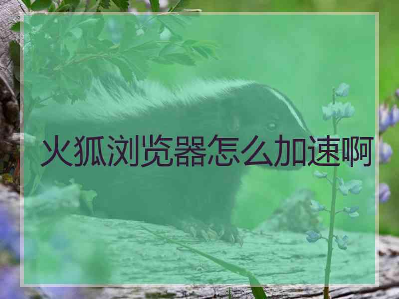 火狐浏览器怎么加速啊