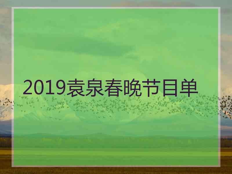 2019袁泉春晚节目单