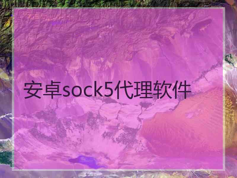 安卓sock5代理软件