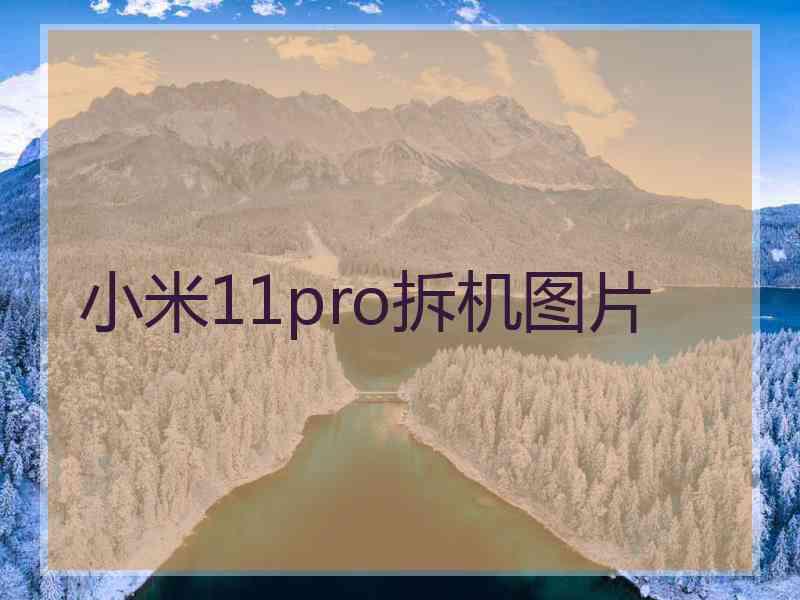 小米11pro拆机图片