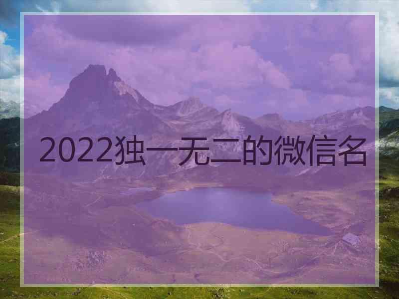 2022独一无二的微信名