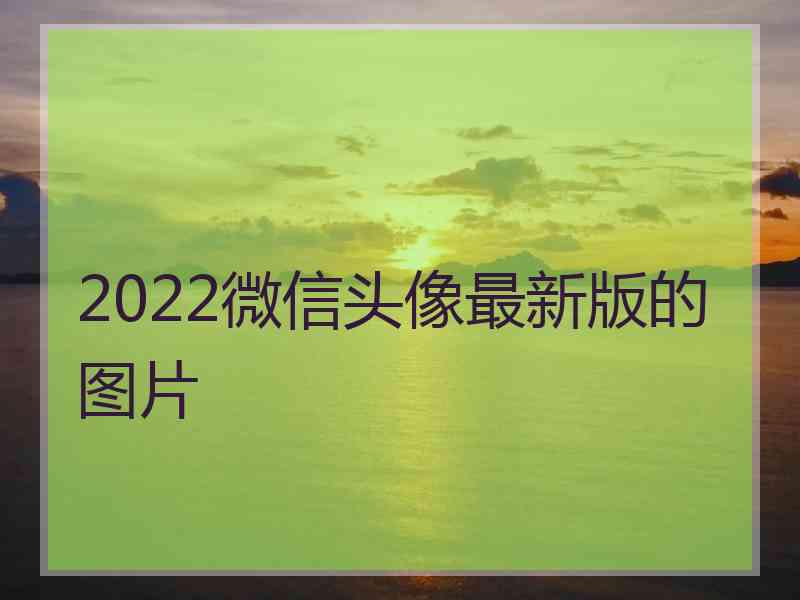 2022微信头像最新版的图片