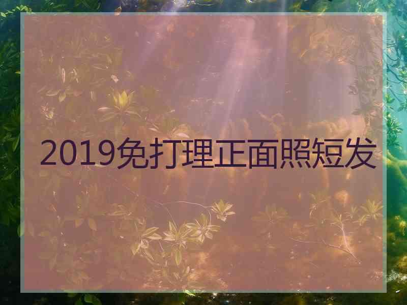 2019免打理正面照短发