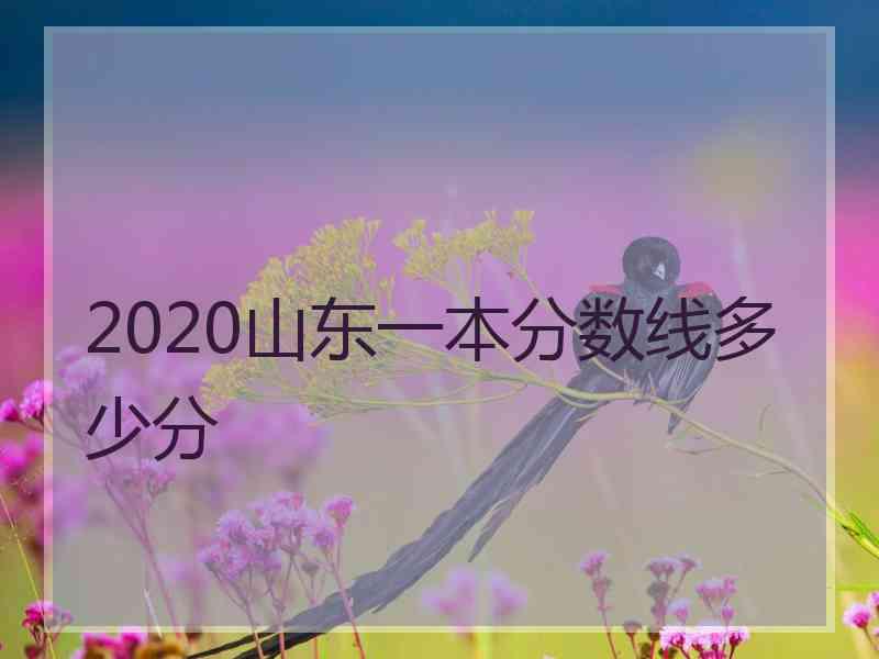 2020山东一本分数线多少分