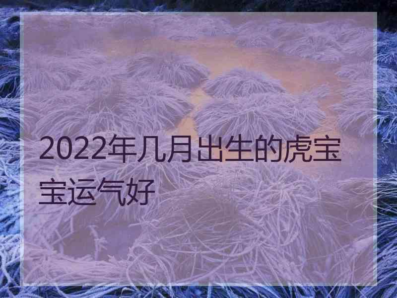 2022年几月出生的虎宝宝运气好