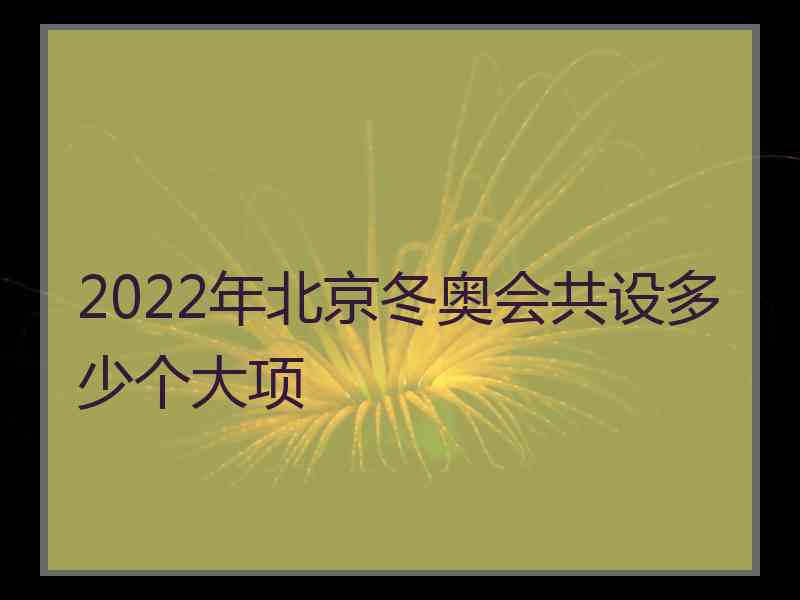 2022年北京冬奥会共设多少个大项