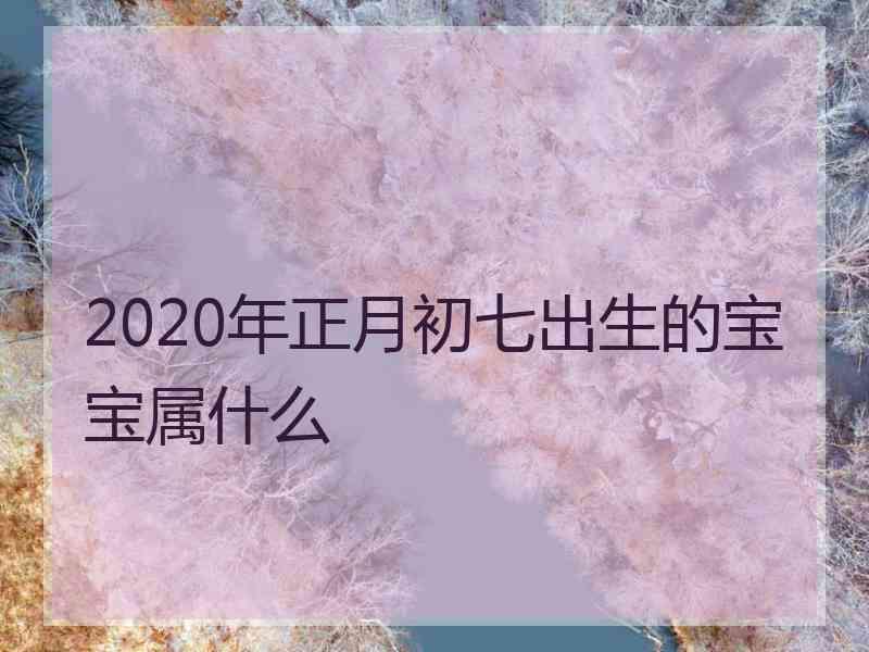 2020年正月初七出生的宝宝属什么