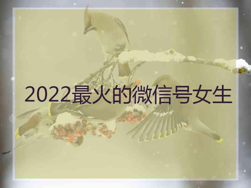 2022最火的微信号女生