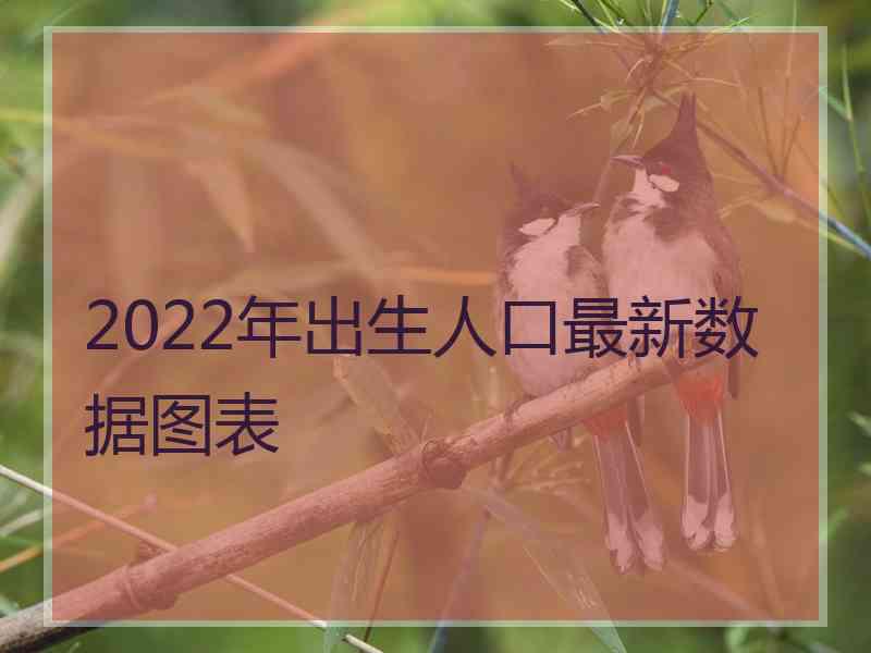 2022年出生人口最新数据图表